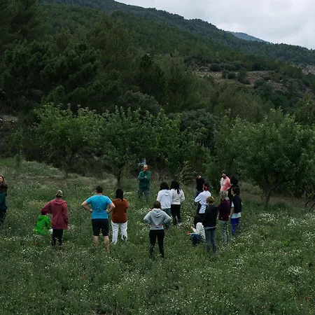 Mas De La Montana Del Cocodrilo