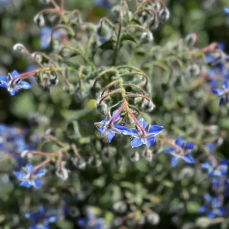 Mas De La Montana Del Cocodrilo Hostel Puertomingalvo