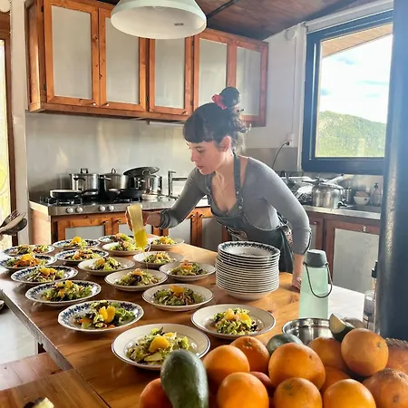 Hostel Mas De La Montana Del Cocodrilo