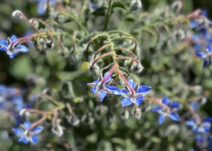 Mas De La Montana Del Cocodrilo Hostel Puertomingalvo