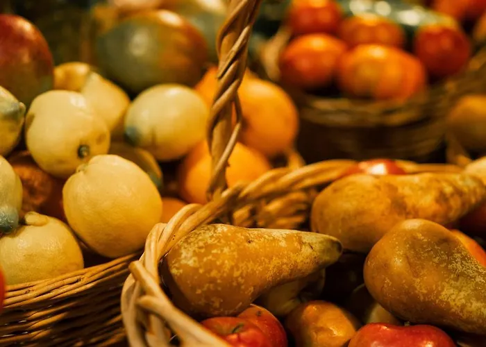 Mas De La Montana Del Cocodrilo Puertomingalvo